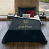 Пододеяльник Harry Potter Dormiens Draco 220 x 220 cm 135/140 кровать