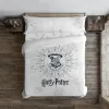 Pussilakana Harry Potter Dormiens Draco 260 x 240 cm Sänky 180
