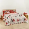 Ziemeļu pārvalks Decolores Laponia Daudzkrāsains Gulta 180 260 x 240 cm