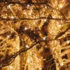Pavasara Ziemassvētku lampiņas CL4096 1000 LED CL4096