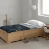 Antklodės užvalkalas be užpildo Harry Potter HPotter Gold Spalvotas Lova 90 cm