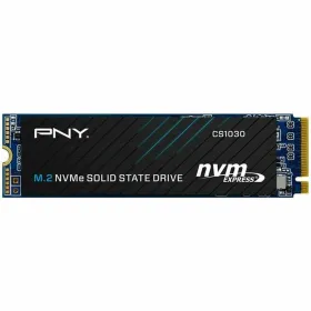 Kovalevy PNY M280CS1030-250-RB