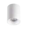 Ceiling-mounted spotlight fitting RITI