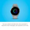 Smartwatch Garmin 010-02496-10 Grey Silver 1,3" 43 mm