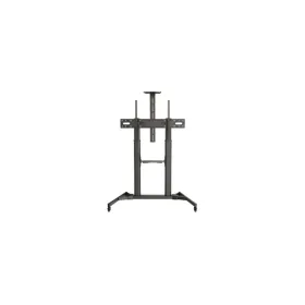 Seinaklamber FONESTAR STS-42106N 100" Must Mitmevärviline