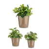 Набор горшков Ibergarden Cónica Ø 14 cm Ø 22 cm Ø 17 cm Пластик 30 x 40 cm 3 Предметы (3 Предметы)