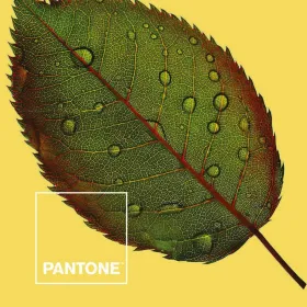 Пододеяльник Nature Pantone