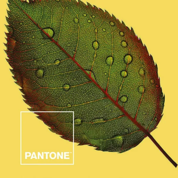 Пододеяльник Nature Pantone