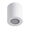 Ceiling-mounted spotlight fitting SANI IP44