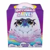 Playset Spin Master Draggle Hatchimals Alive Secret Hatch
