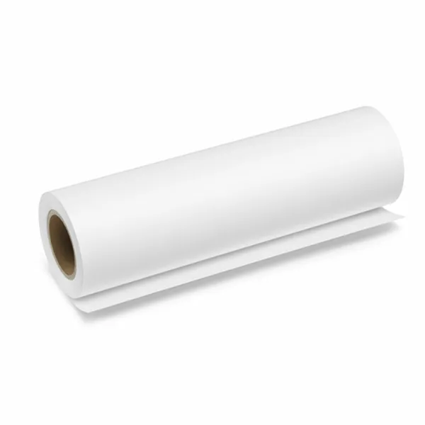 Continuous Roll of Paper Brother BP80PRA3