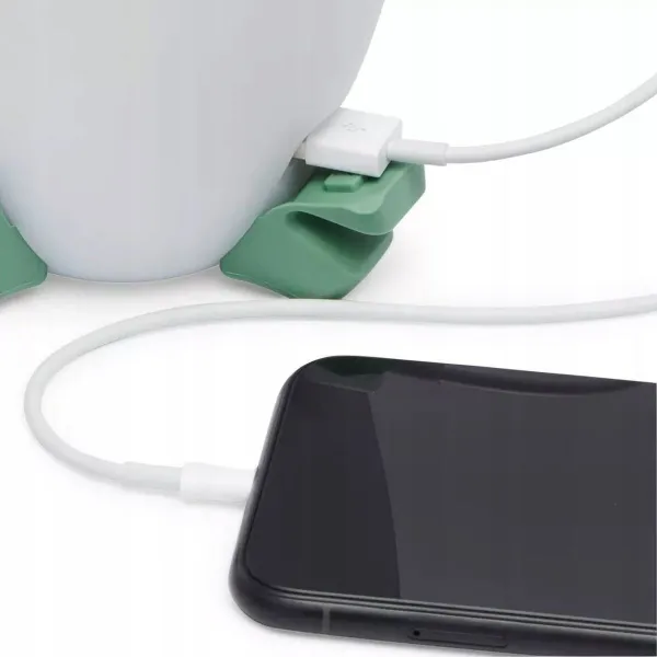 Portable lamp Black Diamond BD620696
