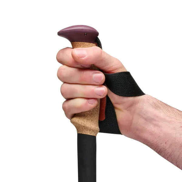 Trekking Stick Black Diamond BD110065 Purple