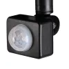 LED floodlight ANTEM LED