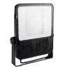 LED floodlight FL AGOR LED