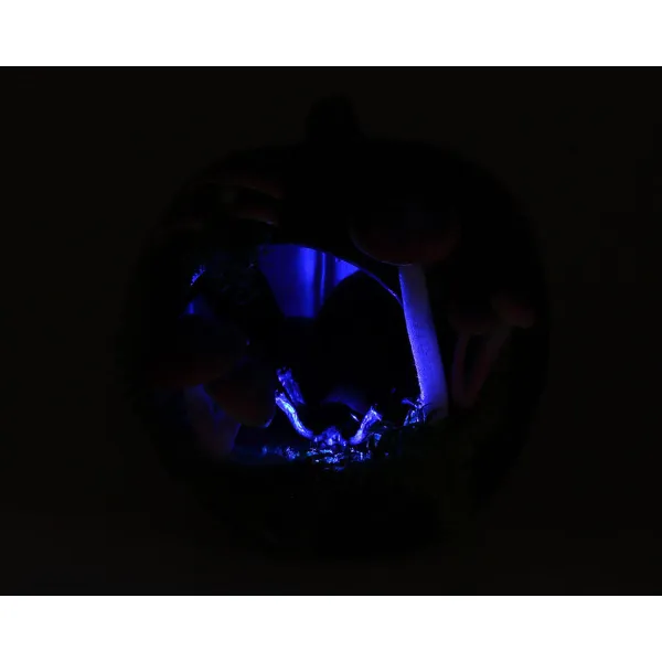Halloween-koristeet 23 x 23 x 22 cm Oranssi