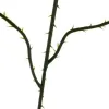 Tekolehdet 47 cm - 12 kpl:n setti Gardlov 22557