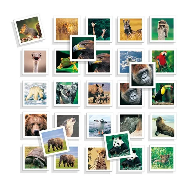 Образовательный набор Diset Memo Photo Animales 54 Предметы