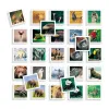 Opettavainen peli Diset Memo Photo Animales 54 Kappaletta