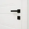 Door handle - Ruhhy set 21937