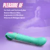 Vibrators Blush Aria Zils
