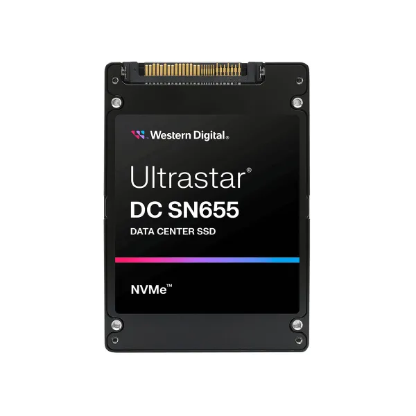 Hard Drive Western Digital 0TS2462 3,84 TB SSD