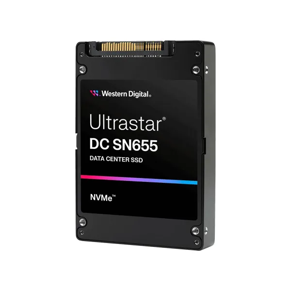 Hard Drive Western Digital 0TS2462 3,84 TB SSD