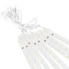Meteoru lampiņu virtene Springos CL4140, 288 LED, auksti balta gaisma, IP44
