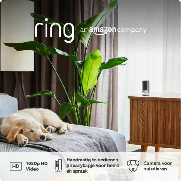 Uzraudzības Videokameras Amazon B0B6GKHS2S