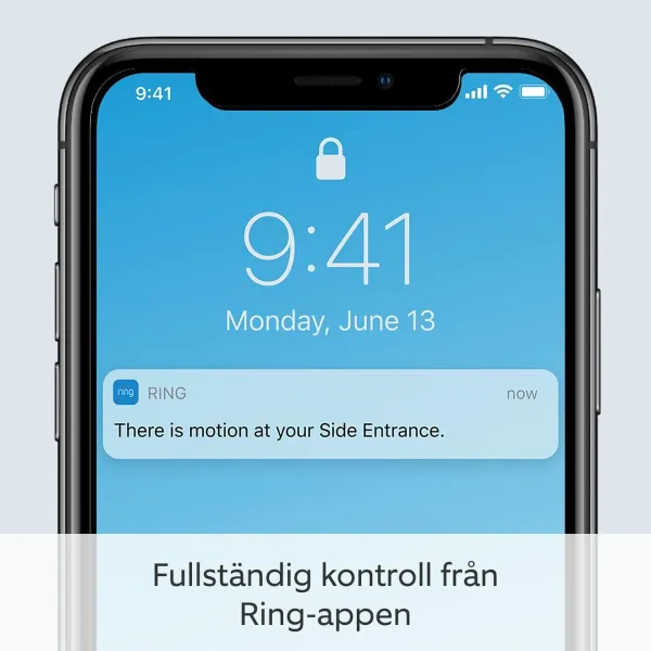 Stebėjimo kamera Ring Automotive