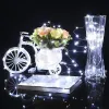 Рождественские огни Springos CL0006, 20 LED