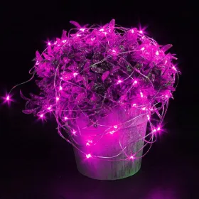 Рождественские гирлянды Springos 20 LED CL0009