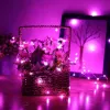 Рождественские гирлянды Springos 20 LED CL0009