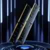 RAM Memory Lexar LD5U08G56C46ST-BGS