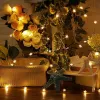 Christmas Lights Springos CL0070 20 LED