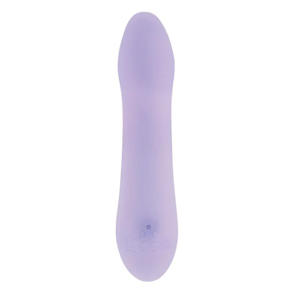 Bullet Vibrator Playboy Euphoria Purple