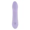 Bullet vibracija Playboy Euphoria Purpurinė
