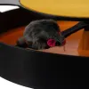 Cat toy - wheel with mouse