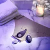 Vibrators Evolved Panty Party Violets