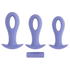 Anālais spraudnis Evolved Violets (8,9 cm) (9,5 cm) (10,1 cm)