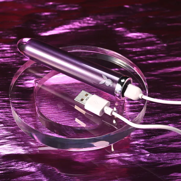 Vibrators Playboy Playboy Violets