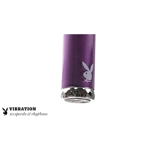 Vibrators Playboy Playboy Violets