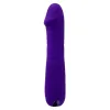 Klassinen vibraattori Evolved Selopa Purppura