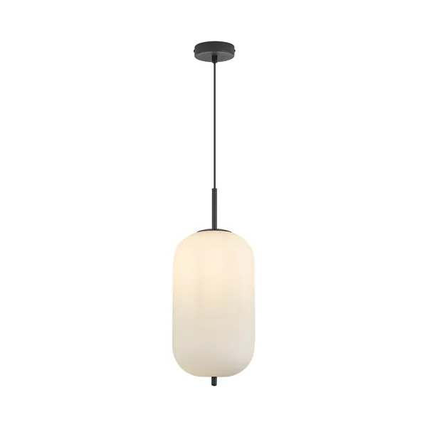 BRY-S011R-1H-1xE27-OPL-BLC-PENDANT LIGHT