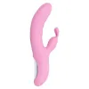 Dvigubos Stimuliacijos Vibratorius Evolved Playboy Rožinė