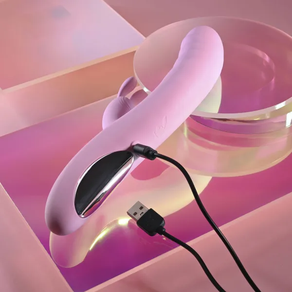 Dvigubos Stimuliacijos Vibratorius Evolved Playboy Rožinė
