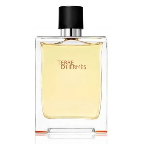 Terre D'Hermes Eau De Toilette Spray 50ml