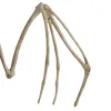 Sikspārņa skelets - dekorācija 30cm Malatec 22005