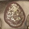 Kooliseljakott Harry Potter