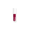 Wet N Wild Wnw Lip Gloss Megaglo Lip y Check 1116095e